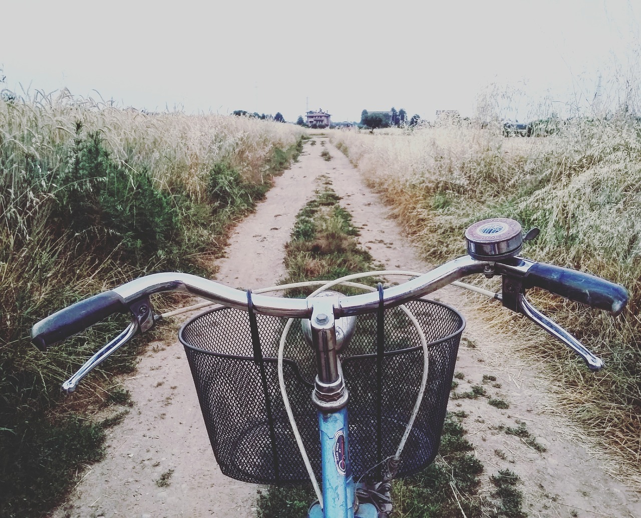 The Role of Bicycle Commuting in Sustainable Living